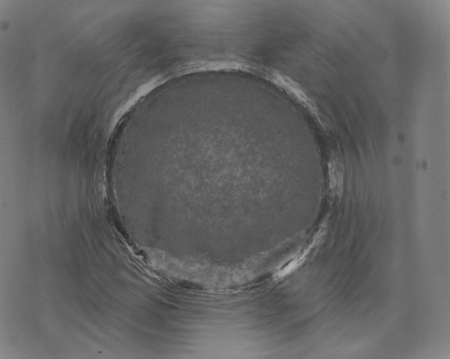 X0000076321165200610161636