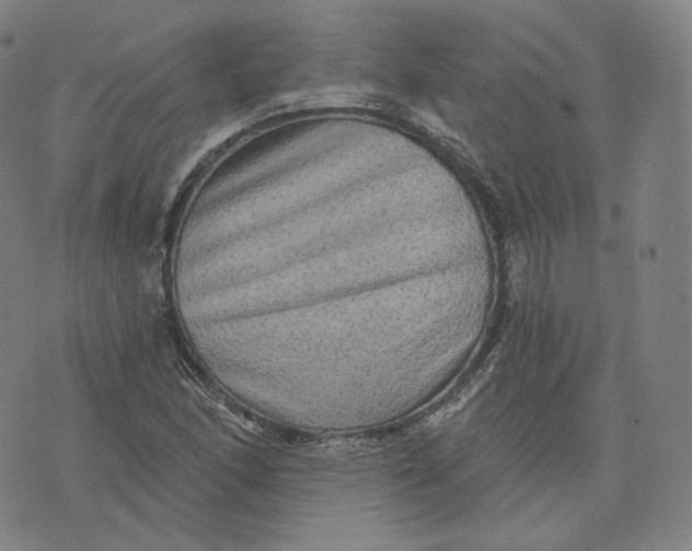 X0000076321166200610161636