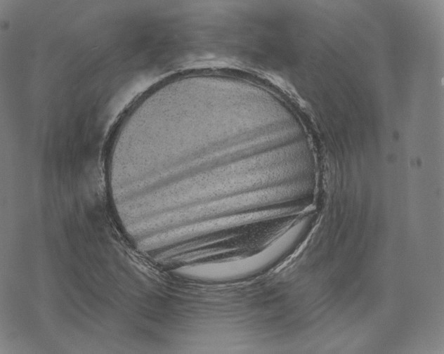 X0000076321167200610161636