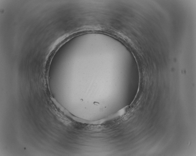 X0000076321168200610161636