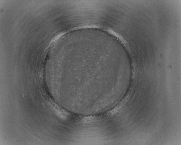 X0000076321169200610161636