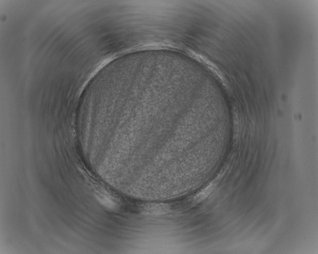 X0000076321170200610161636