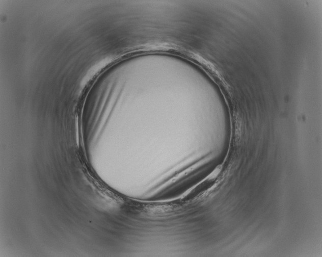 X0000076321171200610161636