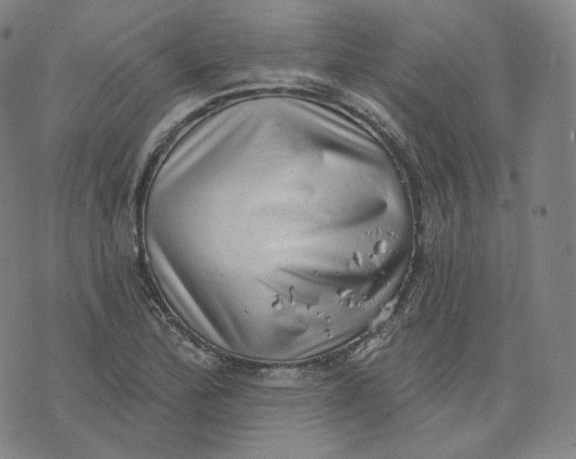 X0000076321172200610161636