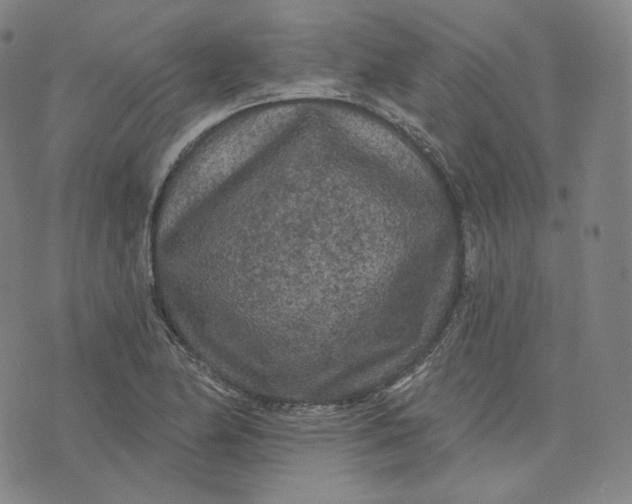 X0000076321174200610161636