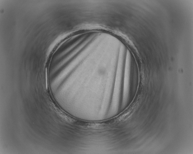 X0000076321175200610161636