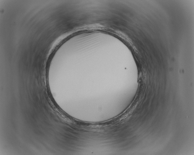 X0000076321176200610161636