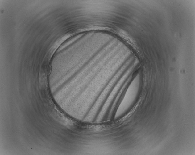 X0000076321177200610161636