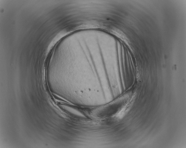 X0000076321179200610161636