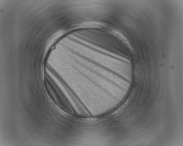 X0000076321180200610161636