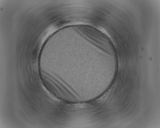 X0000076321181200610161636