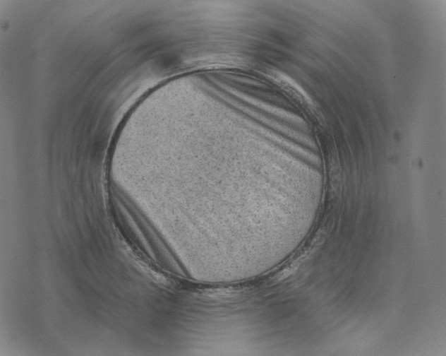 X0000076321182200610161636