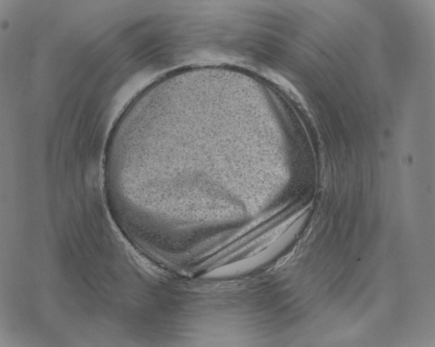 X0000076321183200610161636