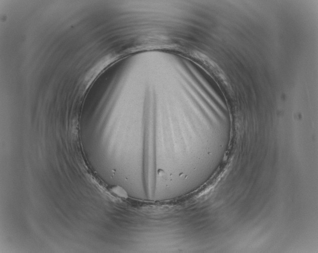 X0000076321185200610161636