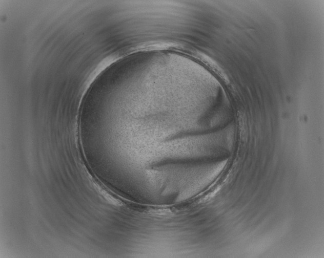 X0000076321186200610161636