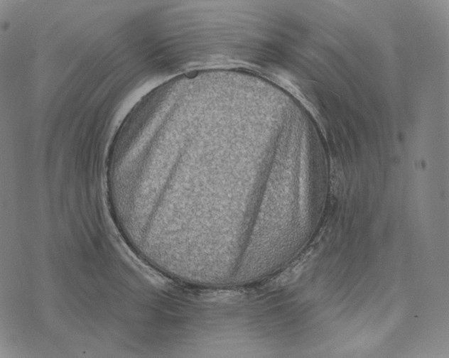 X0000076321187200610161636