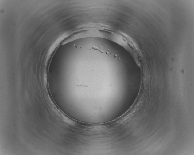 X0000076321188200610161636