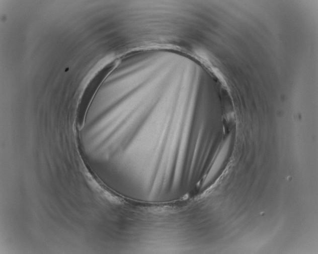 X0000076321189200610161636