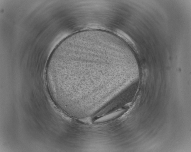 X0000076321190200610161636