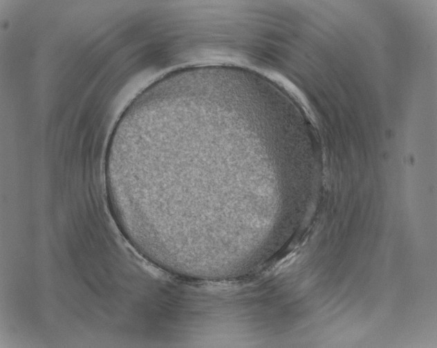 X0000076321191200610161636