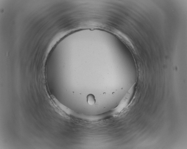 X0000076321192200610161636