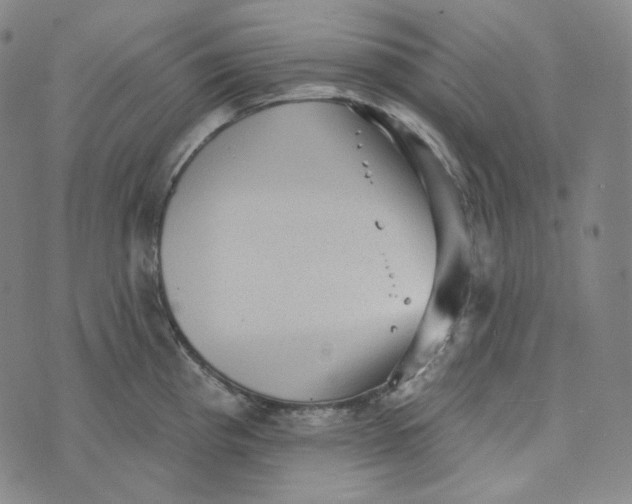 X0000076321193200610161636