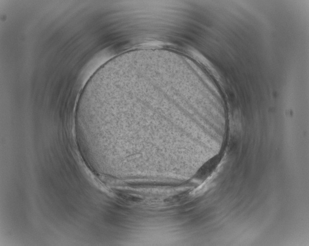 X0000076321194200610161636