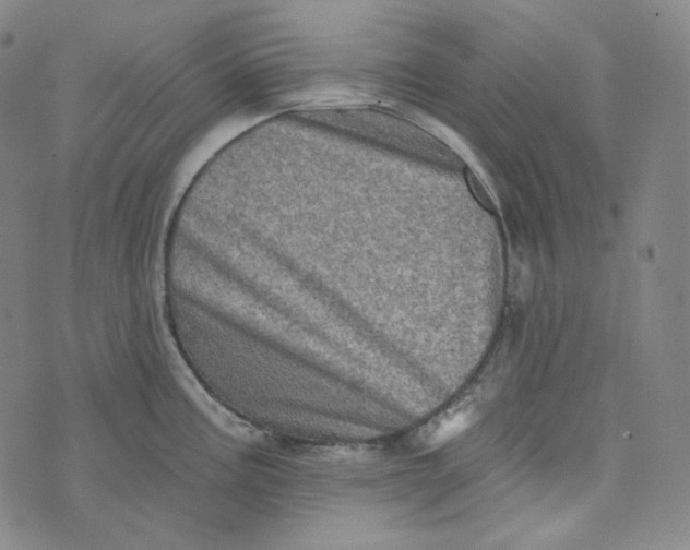 X0000076321195200610161636