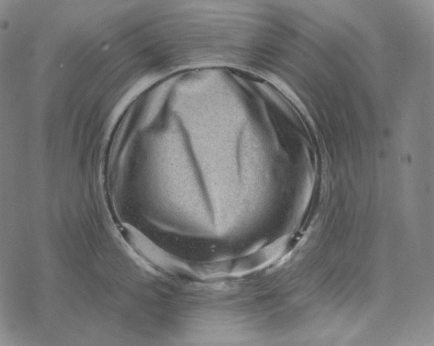 X0000076321197200610161636