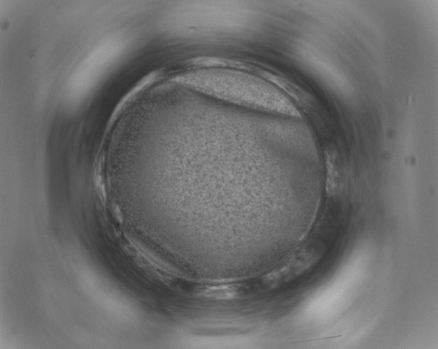 X0000076321198200610161636