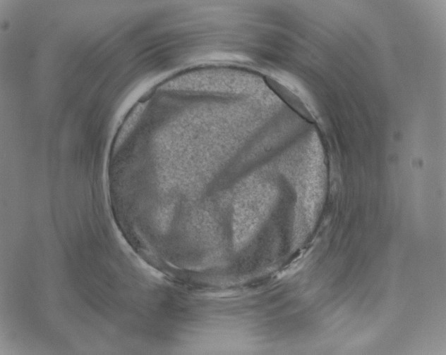 X0000076321199200610161636