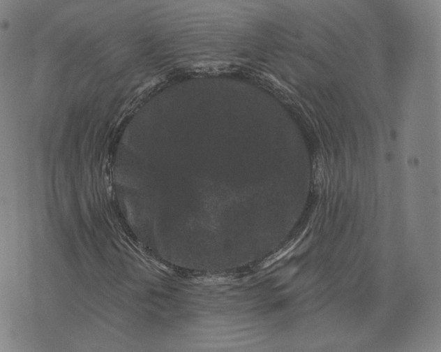 X0000076321202200610161635