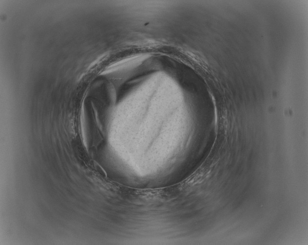 X0000076321205200610161635