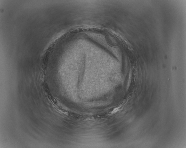 X0000076321207200610161635