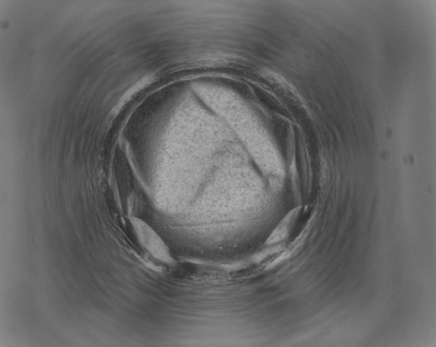 X0000076321210200610161635