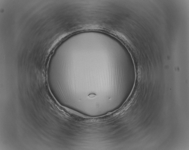 X0000076321212200610161635