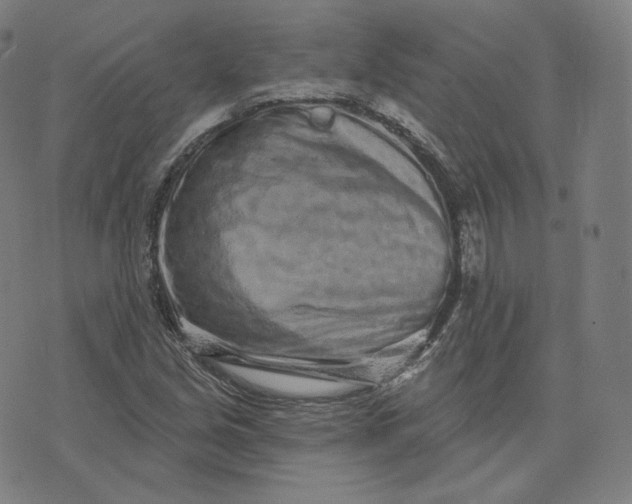 X0000076321213200610161635