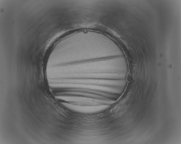 X0000076321214200610161635