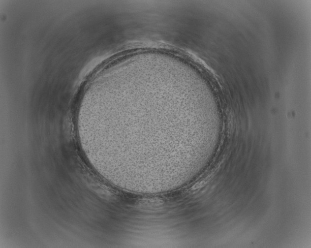 X0000076321215200610161635