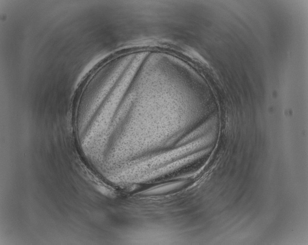 X0000076321216200610161635