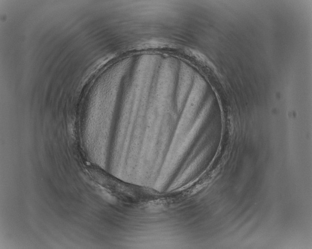 X0000076321217200610161635