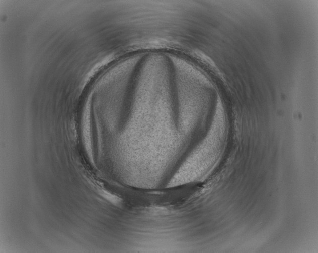 X0000076321218200610161635