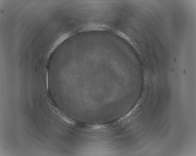 X0000076321219200610161635