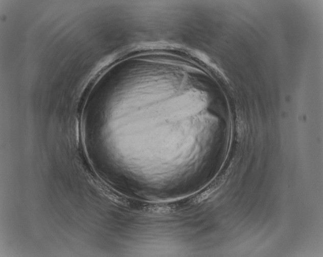 X0000076321221200610161635