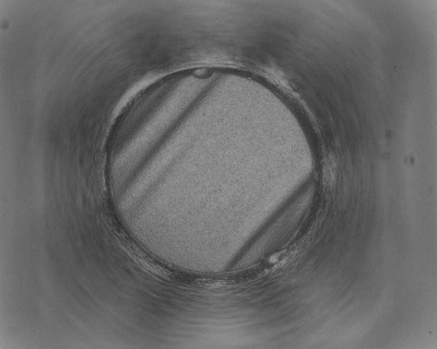 X0000076321222200610161635