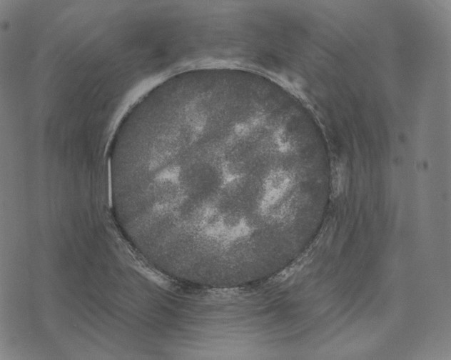 X0000076321223200610161635