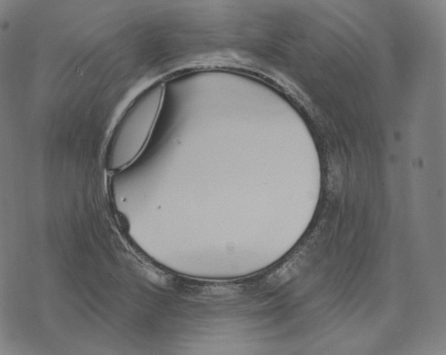 X0000076321224200610161635