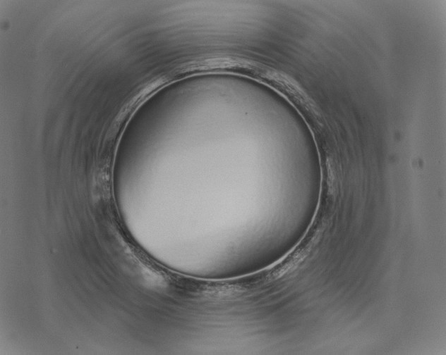 X0000076321225200610161635