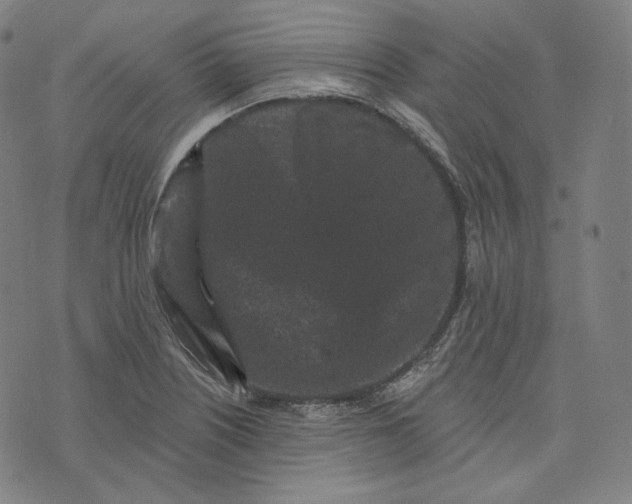 X0000076321226200610161635