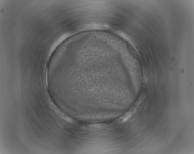 X0000076321227200610161635